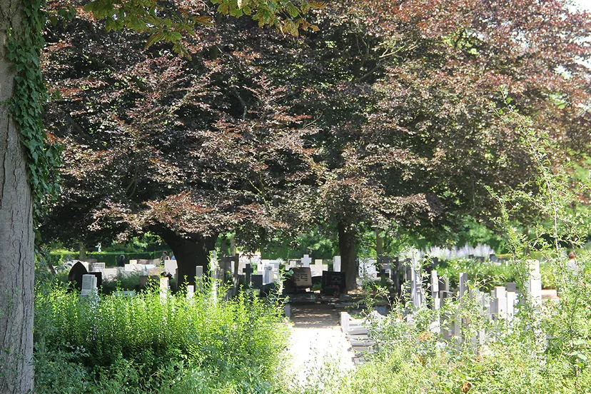 begraafplaats sittard