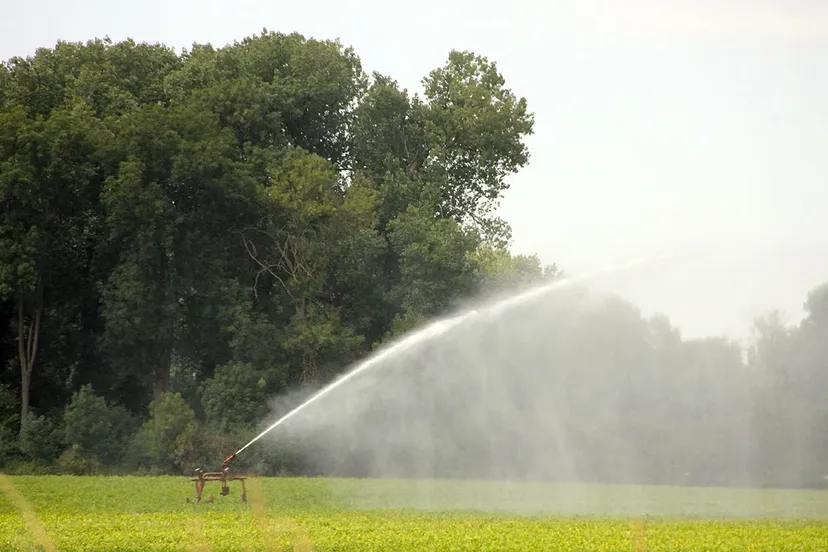 beregenen van gewasen