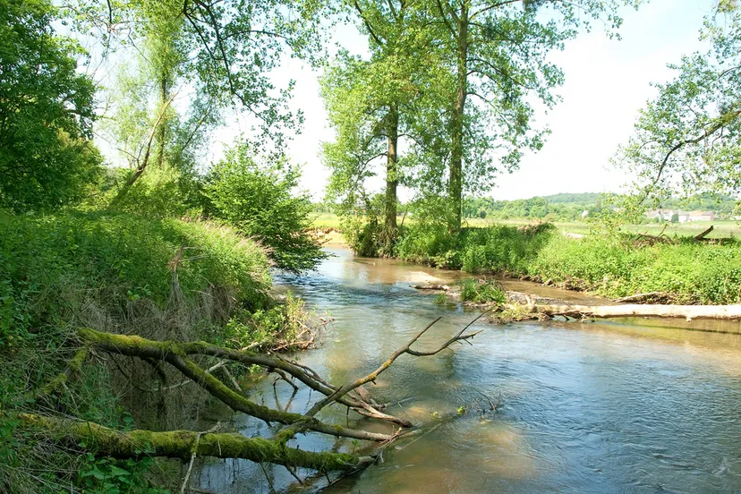 bergse heide henk heijligers