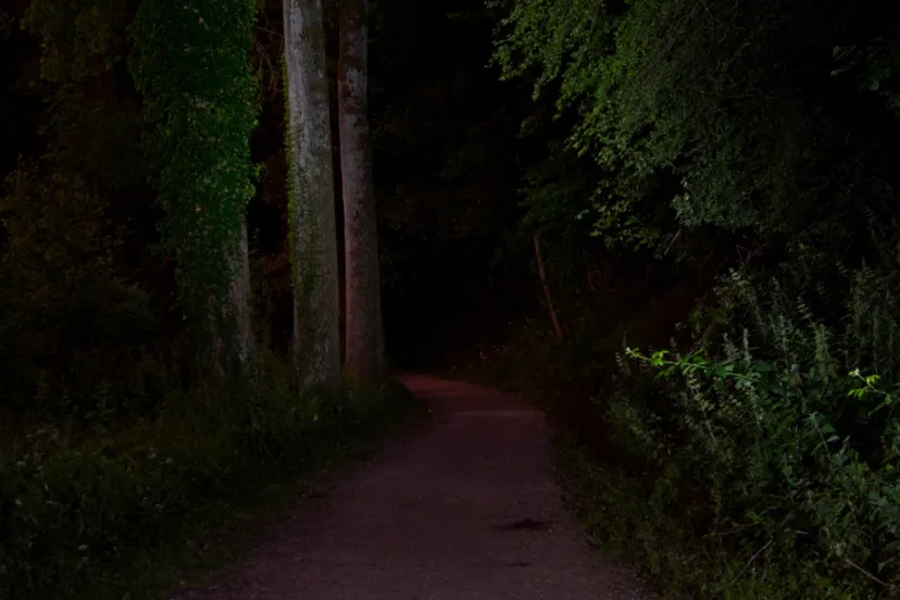 bergse heide nacht hli 2027