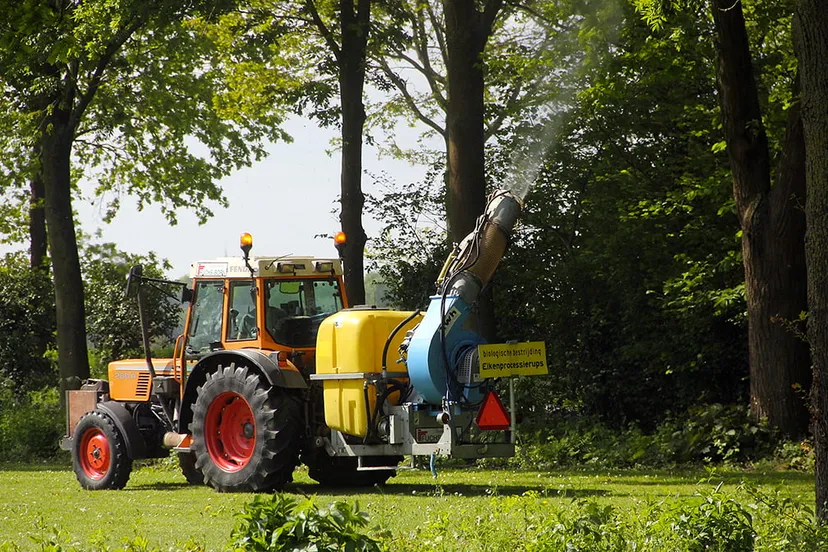 bestrijding eikenprocessierups