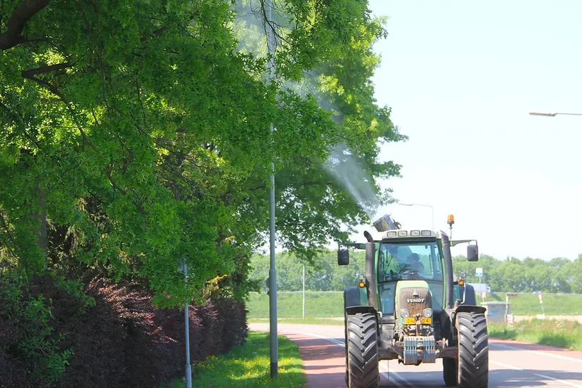bestrijding eikenprocessierups in het voorjaar