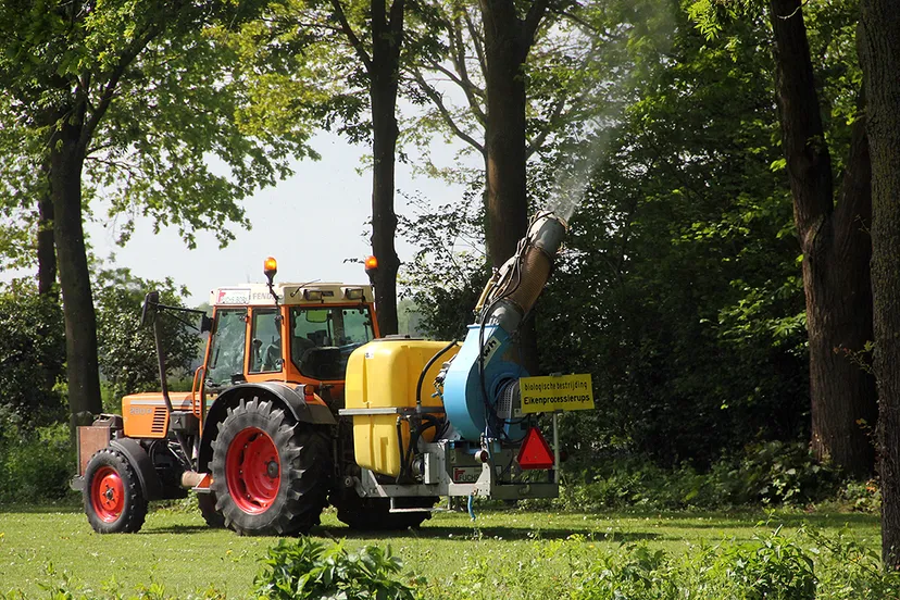 bestrijding processierupsen op complex vv obbicht