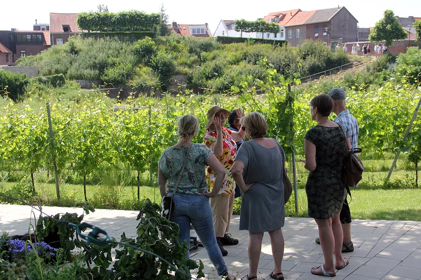 bevloegen verhaal over wijn en druiven fort sanderbout