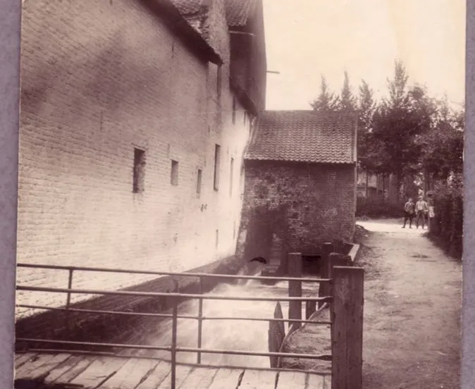 bgg5f1xuf6nlilwt0qryve1ny volmolen damoiseaux