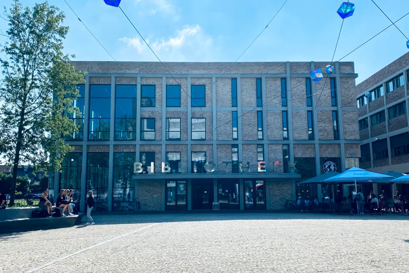 bibliotheek ligne de domijnen