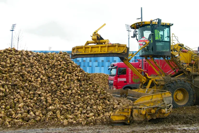 bietencampagne archieffoto 2018 guus queisen
