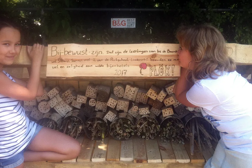 bijenhotel bij bewust zijn plk