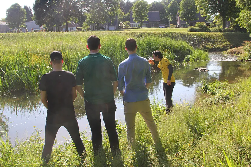 bittere smaak promotie roda