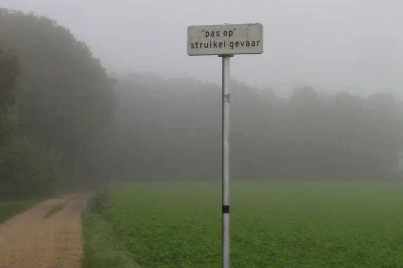 bky3qo09jgy1hrlggh9jrd0lo pas op struikelgevaar