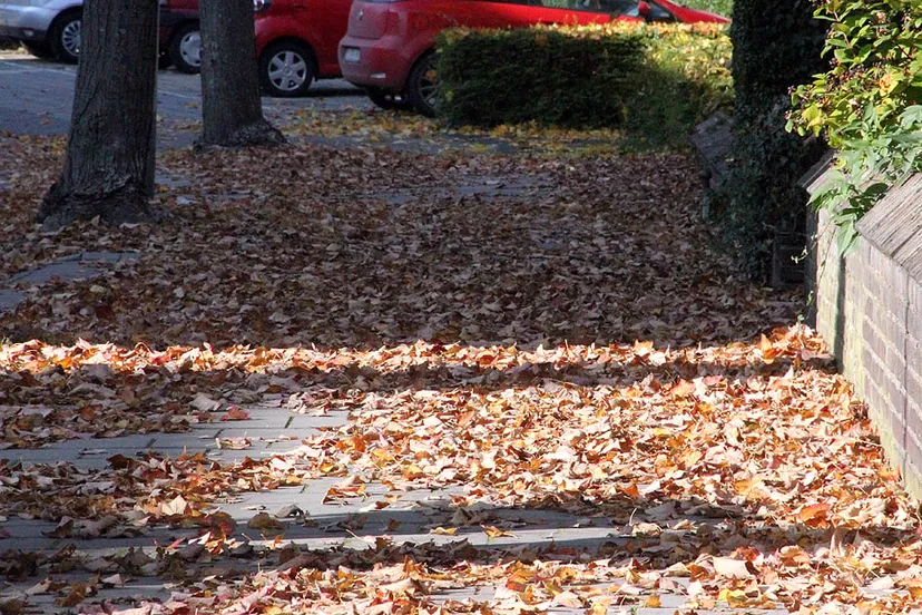 bladafval herfst gevallen bladeren vegen