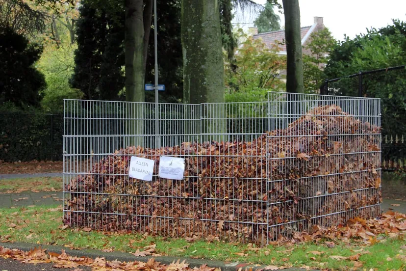 bladafval oud geleen 2017 bladkorf
