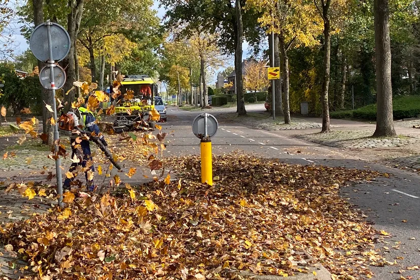 bladblazen in grevenbicht