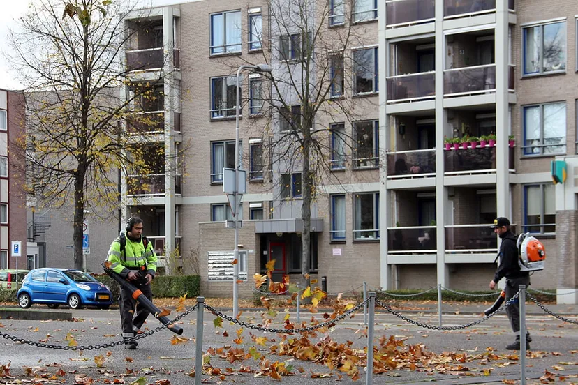 bladblazers in actie met opruimen van gevallen bladeren