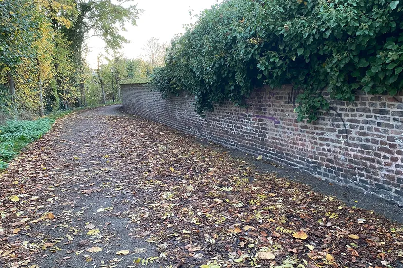 bladeren op agnetenwal sittard 2020