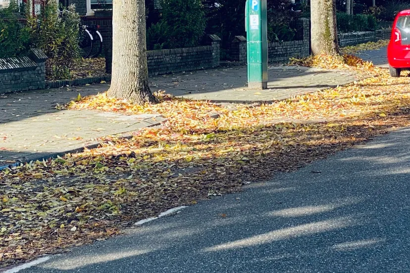 bladeren op parkeerplekken in sittard