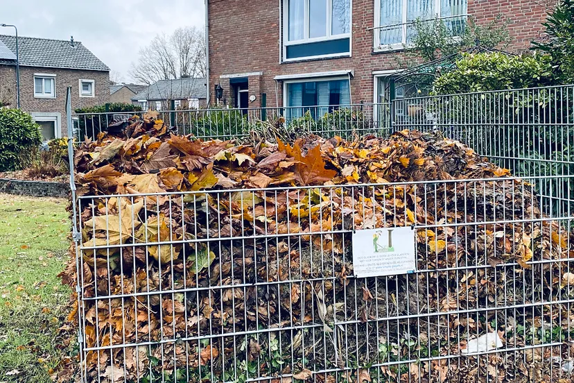 bladkorf broeksittarderweg