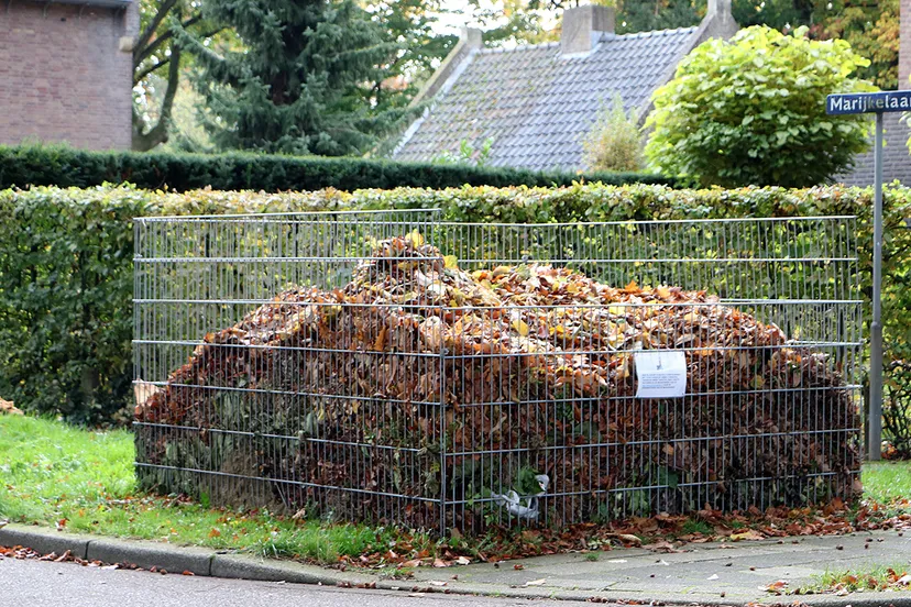 bladkorf hoek marijkelaan geleen