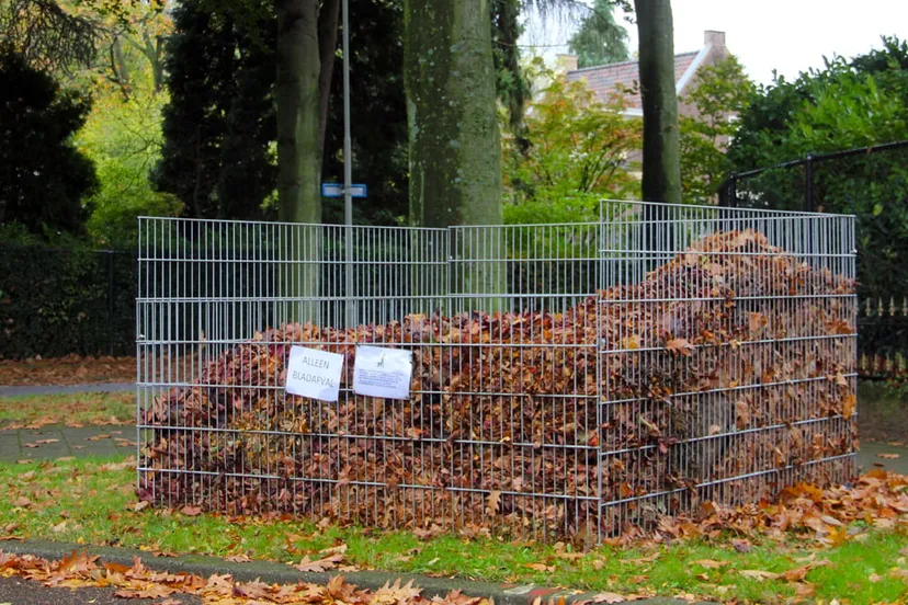 bladkorf in oud geleen