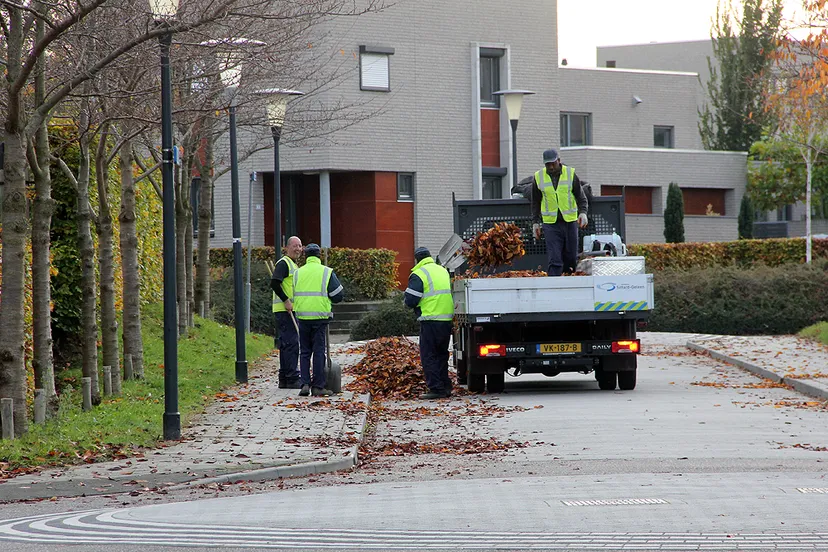 bladruiming in de haese geleen