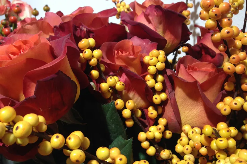 bloemschikken cc0 pixabay roses 210020 1280