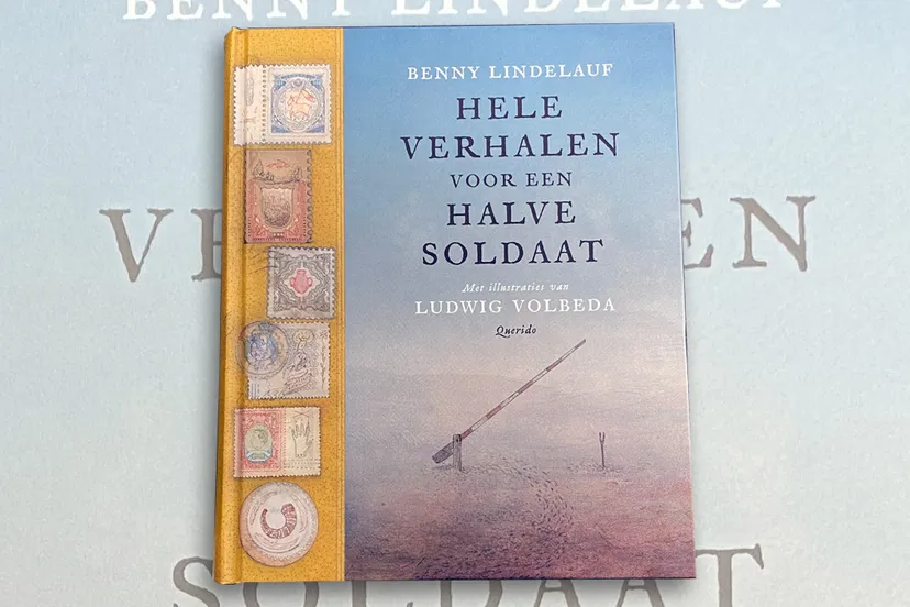 boek hele verhalen voor een halve soldaat