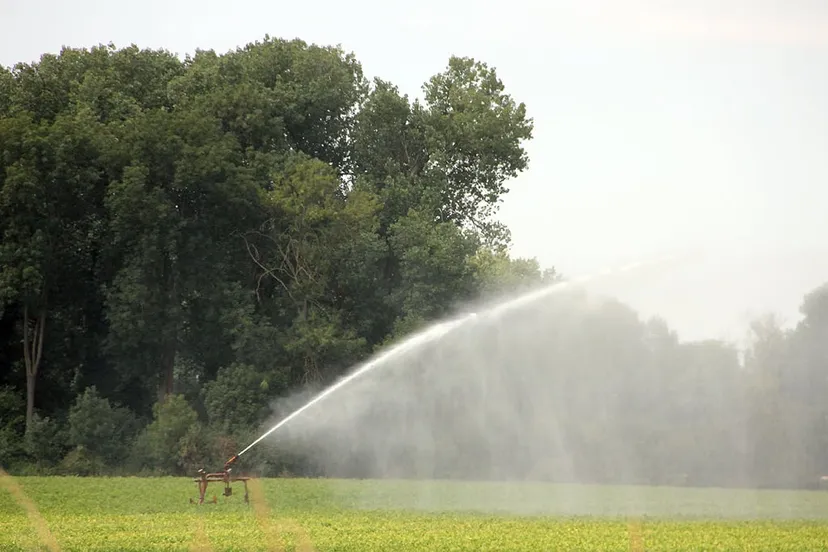 boeren droogte beregenen sproeien