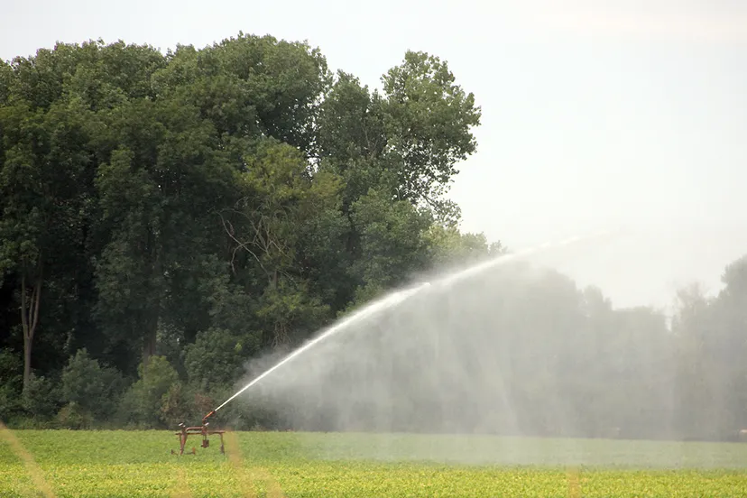 boeren droogte beregenen sproeien
