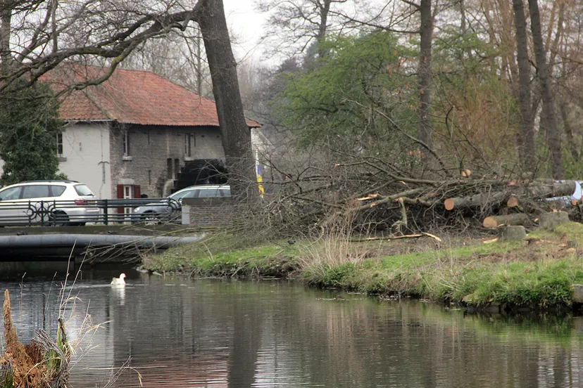 bomenkap geleenbeek 2019 2