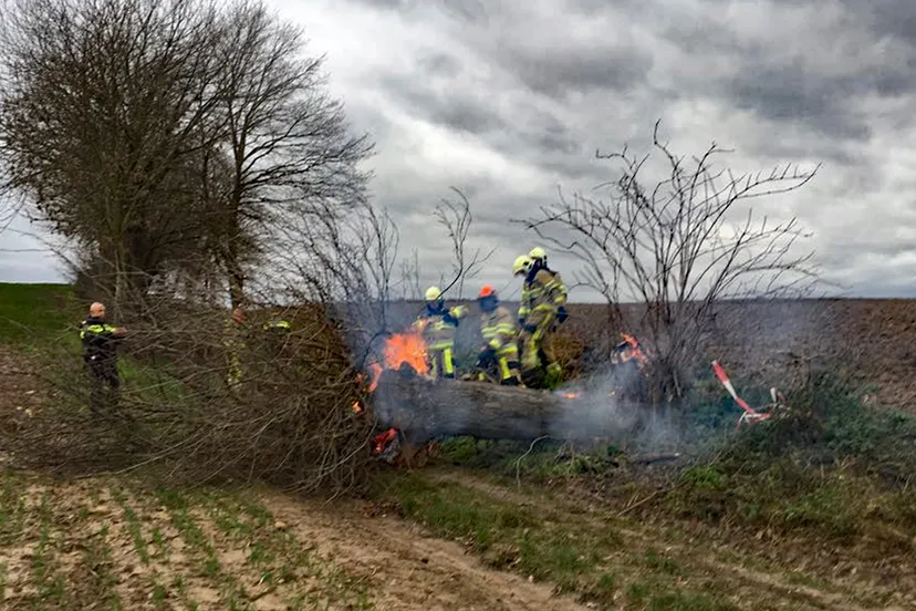 boom in brand op kollenberg 31 december 2017 1