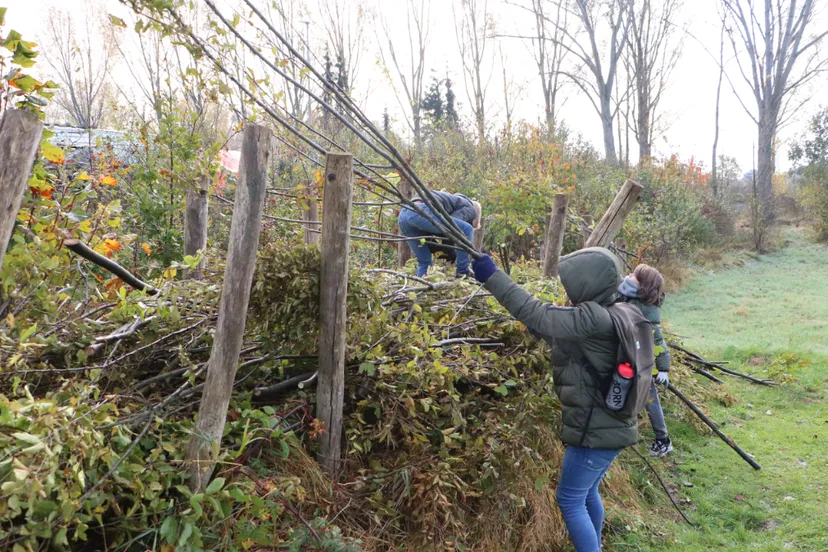 boomfeestdag 2021 schipperskerk 2