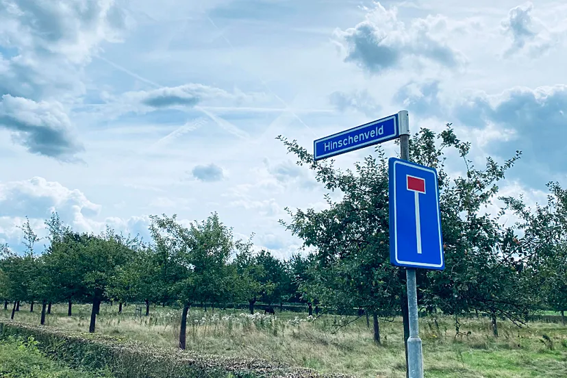 boomgaard hinschenveld bij limbricht