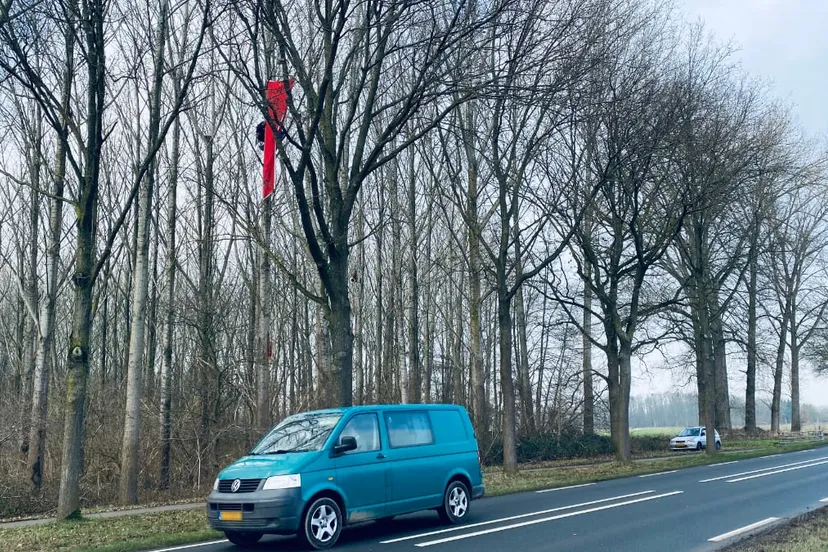 boomklimmer sterrebos