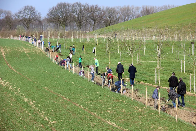 boomplantdag schipperskerk 3