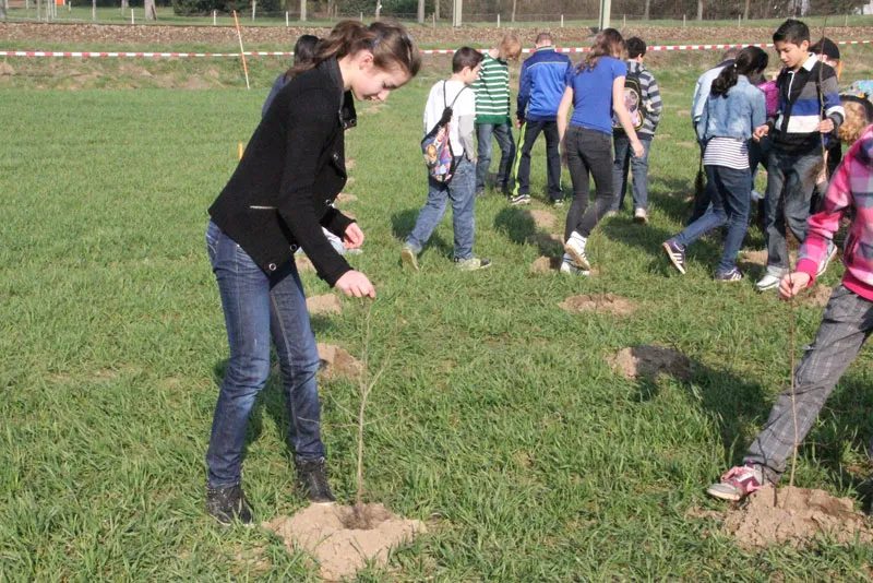 boomplanten03