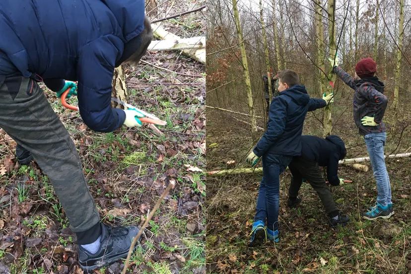 boomwerkdag in absbroekbos