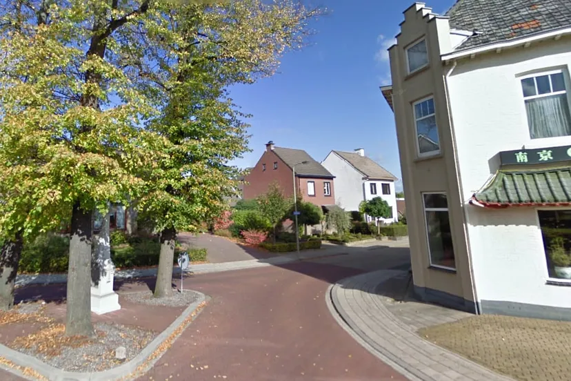 born chinees hondsbroek