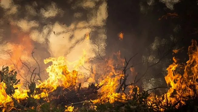 bosbrand natuurbrand