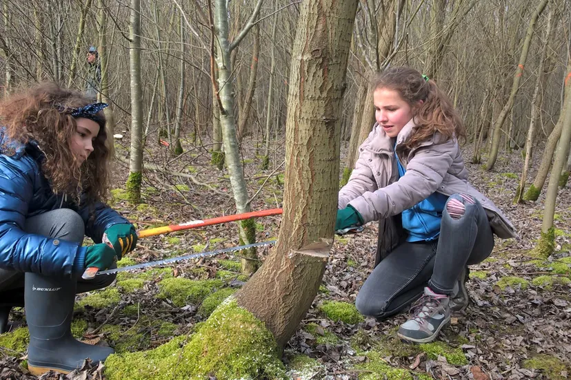 boswerkdagen 2018 dikkere boswilg zagen