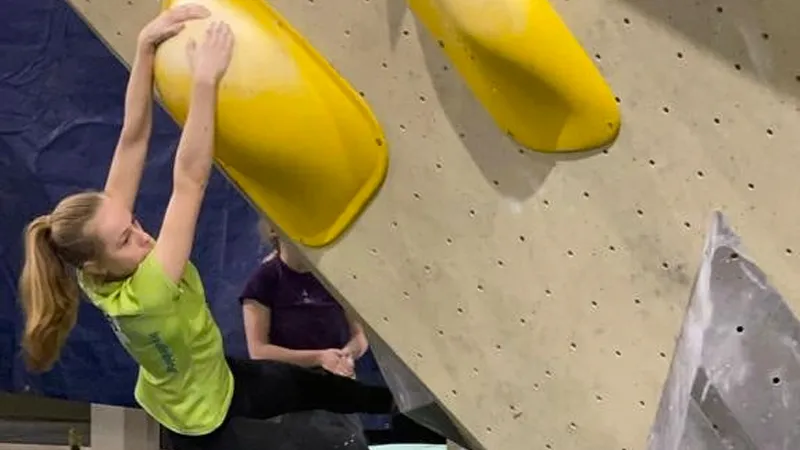 boulder amber schiffelers