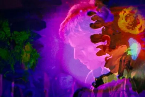 bowie paars