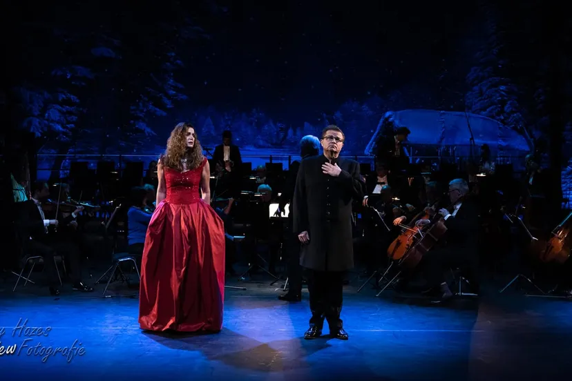 boyhazes 20181213 2113