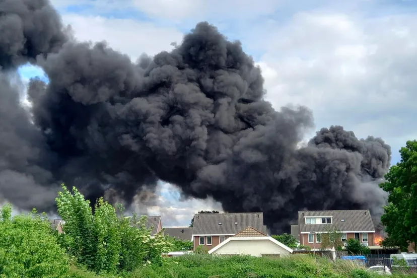 brand asterstraat geleen 6 tom bloem