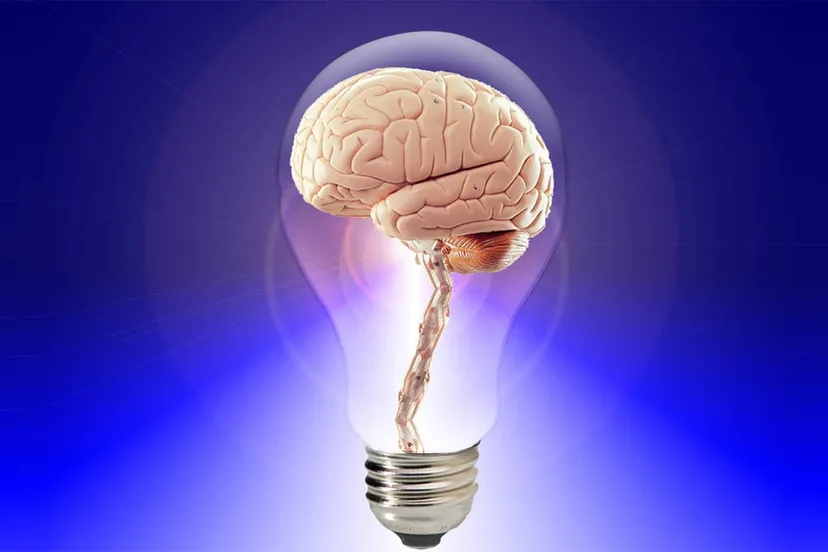 bright ideas brightlands capital fest