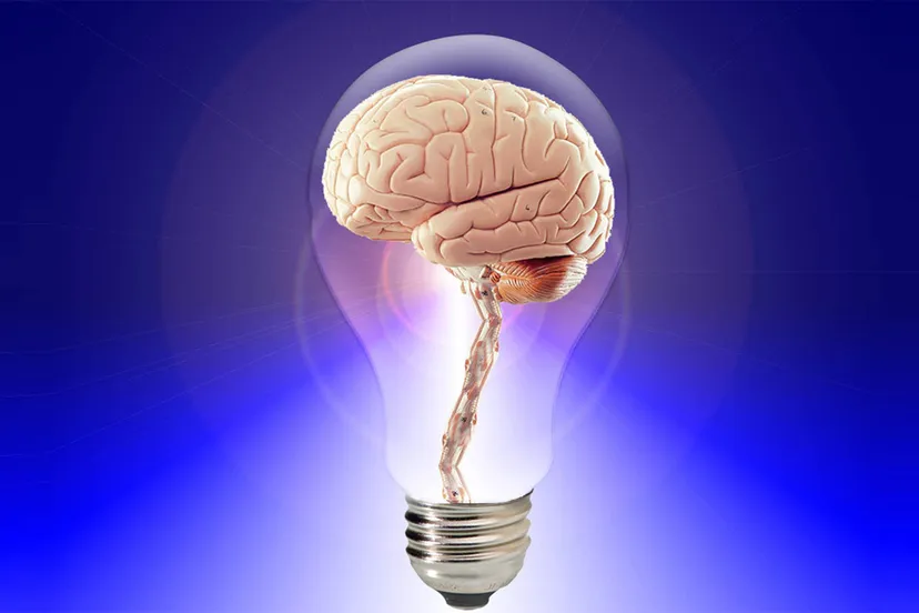 bright ideas brightlands capital fest