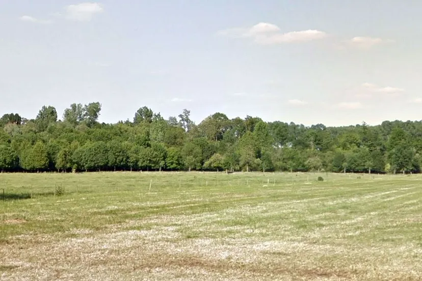 bronnengebied kingbeek