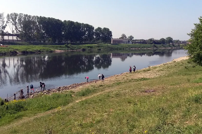 bs de springplank 15 mei 2 waterbeestjes zoeken