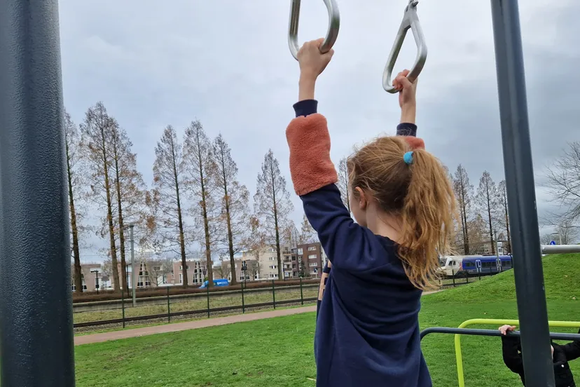 calesthenicstoestel in het kaolepark