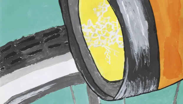 campagne laat je zien fietsverlichting rovl 2017 0