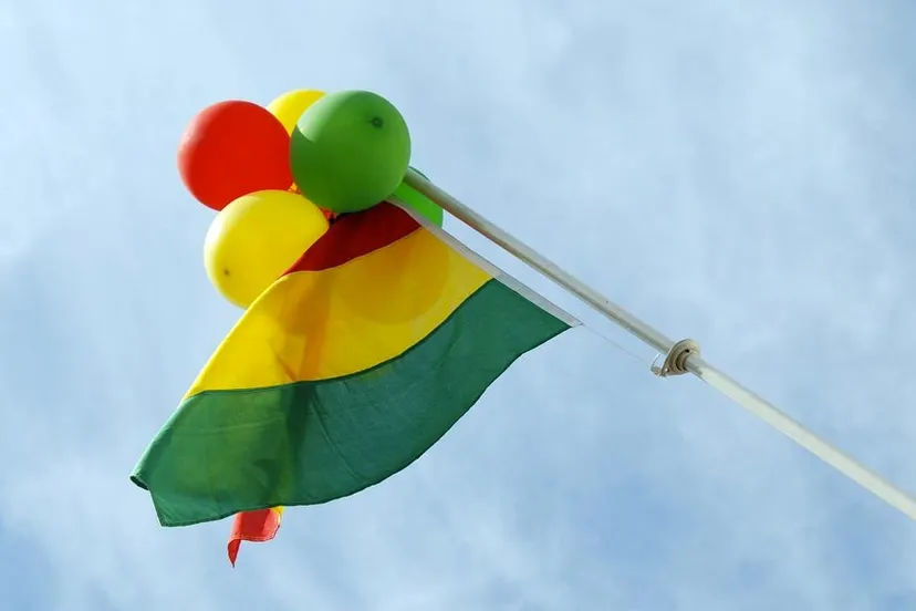 carnavalsdriekleu rood geel groen vlag